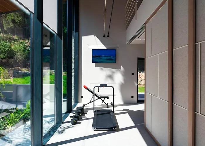 Casa Palmera Vilă *