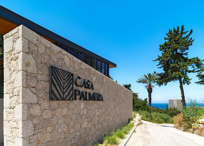 Casa Palmera *