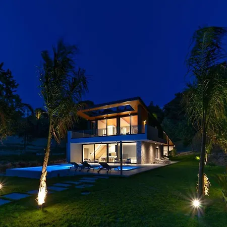 Casa Palmera Vilă *