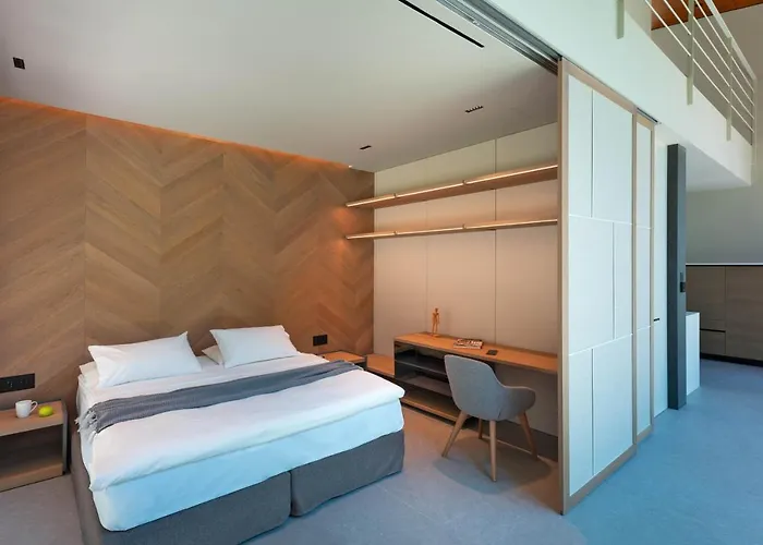 ヴィラ Casa Palmera *